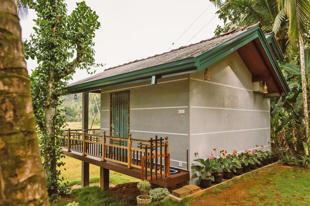 Rainforest Nest Deniyaya Exterior foto
