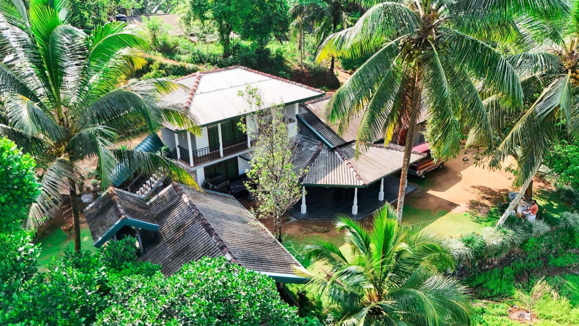 Rainforest Nest Deniyaya Exterior foto